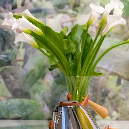 Luxury And Silente Bacvice